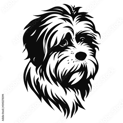 Collection portrait Havanese dog art illustration animal vector