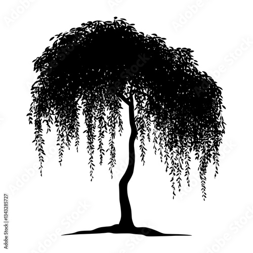Weeping mangrove tree silhouette illustration willow vector