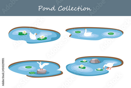 pond collection in different style. Vector illustration.