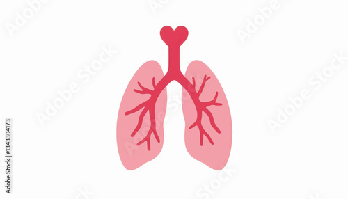 Minimalist heart and lung illustration on white background, health concept
