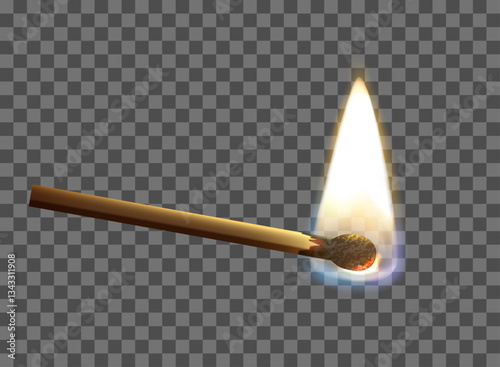 Wooden realistic match stick burning with fire flame