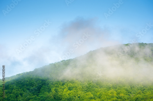 Obraz na płótnie nature background with mountain and fog evaporating to cloud. woods on the slope. beautiful view of forest on the hill in morning light. scenic weather w salonie