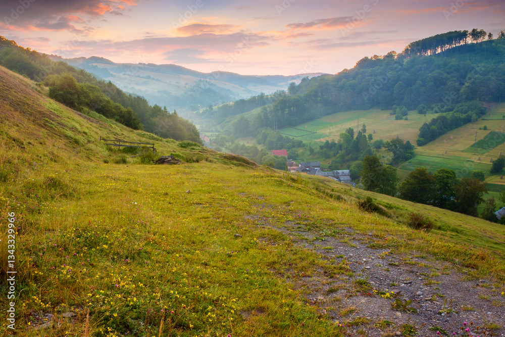 landscape of rural valley with dawn sky. nature in summer. green meadow in mountain and forest on hill. scenic travel view. beautiful countryside background with grass for outdoor tourism