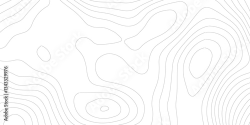 Abstract Blank Detailed Topographic Contour Map Subtle White Vector Background.White wave paper curved reliefs abstract background,paper texture Imitation of a geographical map,