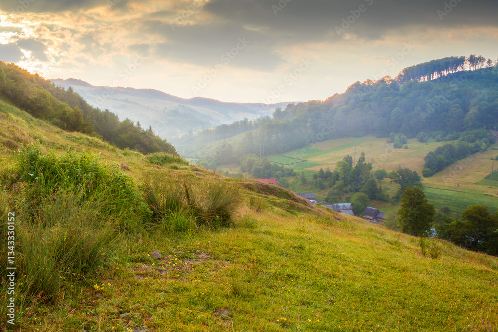 landscape of rural valley with dawn sky. nature environment in summer. green meadow in mountain and forest on hill. scenic travel view. beautiful countryside background with grass for outdoor tourism