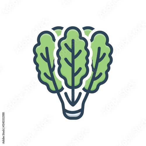 Color illustration icon for kale