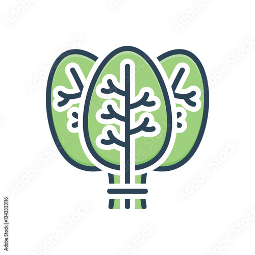 Color illustration icon for spinach