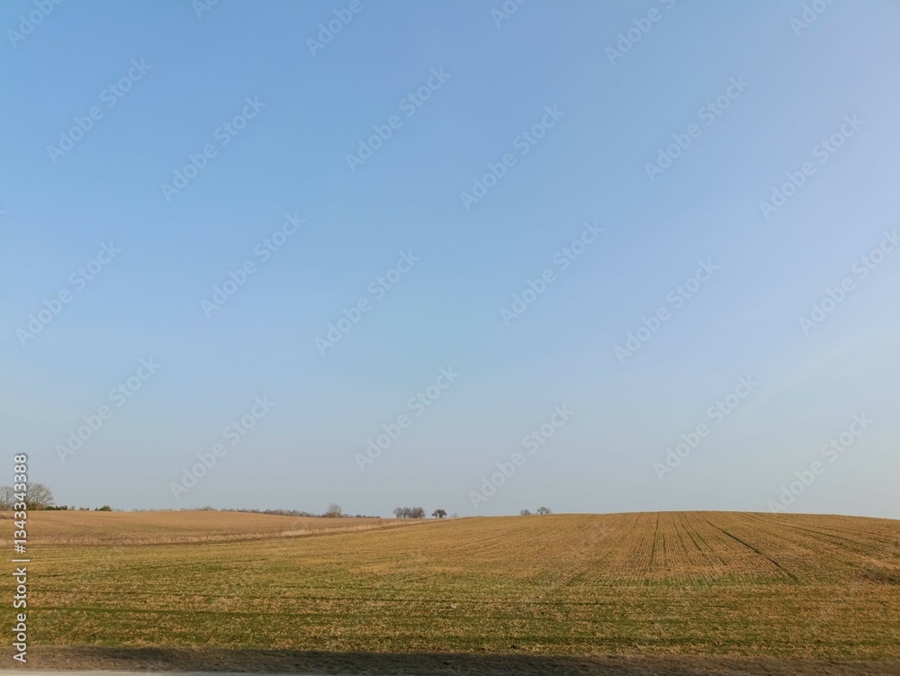 Field in somewhere. Countryside. Open field. Summertime. Unusual. Field in somewhere. Countryside. Open field. Summertime. Unusual.