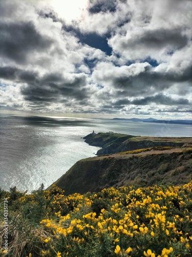 Photography Howth Head Scenic View with Gorse and Lighthouse