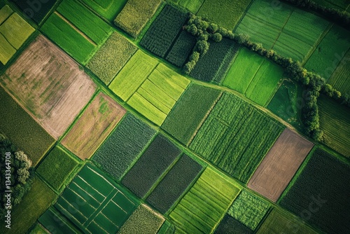Aerial View of Lush Green Agricultural Fields with Diverse Patterns and Textures Under Bright Natural Light