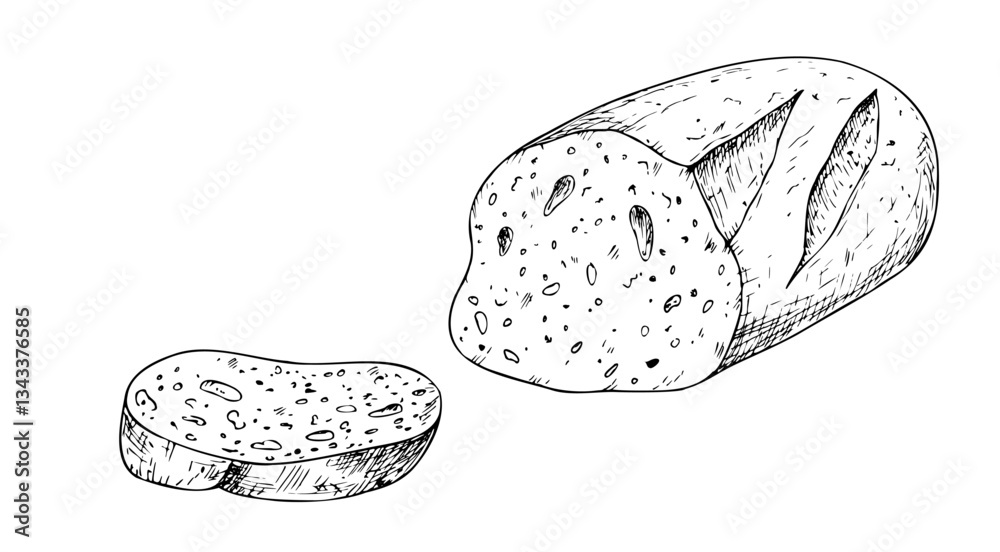 Vector slice of bread, bakery. Graphic ink loaf food, whole grain bread, ciabatta, brown homemade, baguette. Bun illustration isolated on background. Hand drawn line sketch. For designers, prints Vector slice of bread, bakery. Graphic ink loaf food, whole grain bread, ciabatta, brown homemade, baguette. Bun illustration isolated on background. Hand drawn line sketch. For designers, prints