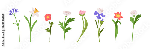 Floral blooming branches, stems set. Gorgeous garden flora. Flower blossoms a...