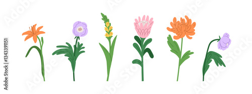 Flower blossoms set. Garden blooming branches, spring floral stems with leaves. Beautiful lily, protea, chrysanthemum, anemone, gladiolus Flat vector illustration isolated on white background