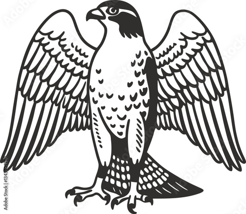 Eagle with wings spread majestic bird, black and white illustration, powerful predator