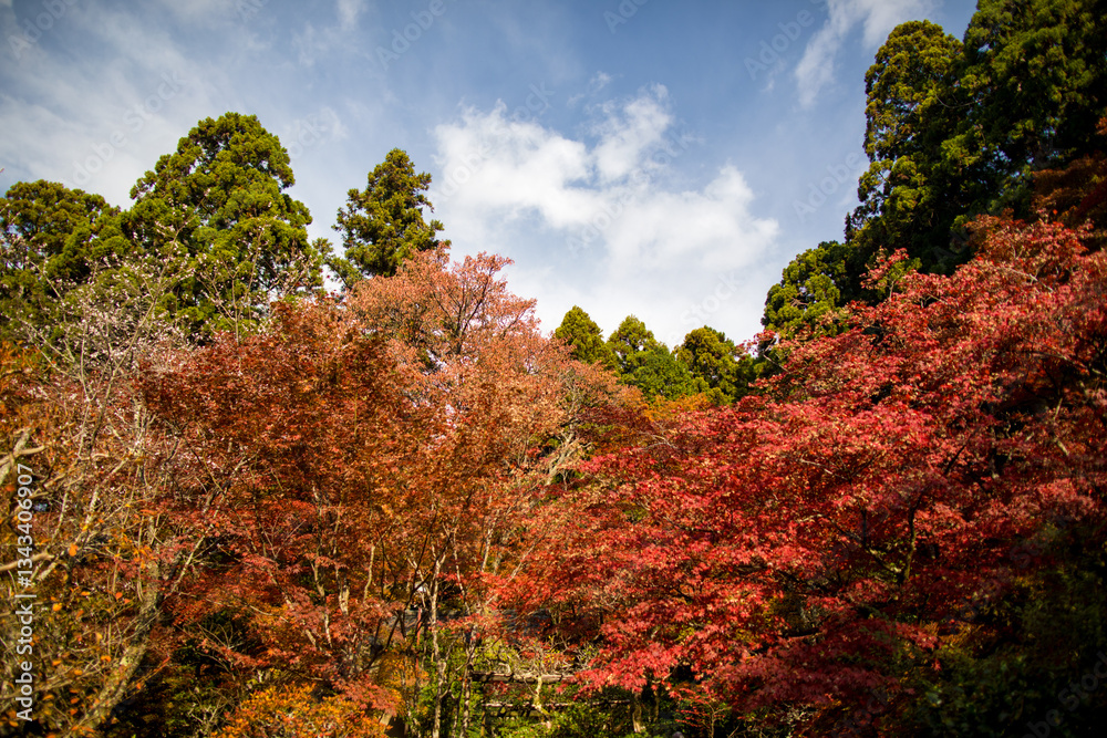 Autumn scenery of Saimyoji Temple in Shiga Prefecture, Japan Autumn scenery of Saimyoji Temple in Shiga Prefecture, Japan