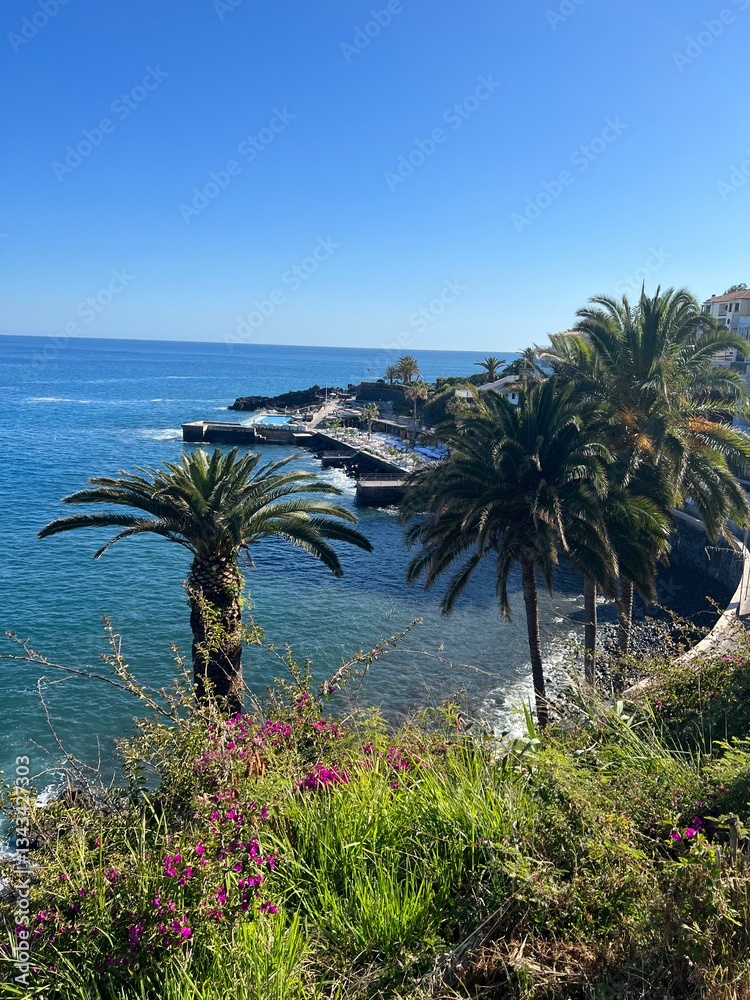 Fototapeta premium scenic view of the coast of Madeira, Portugal