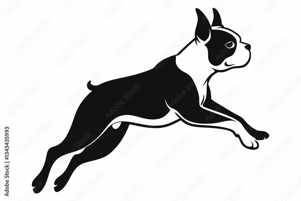Fototapeta premium boston terrier dog jump line art silhouette vector illustration