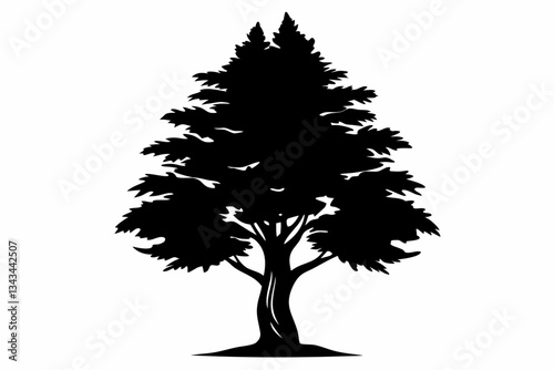 cypress tree line art silhouette vector illustration