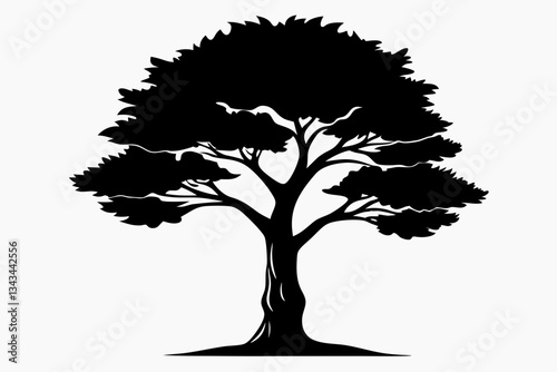 cypress tree line art silhouette vector illustration