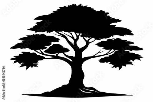 cypress tree line art silhouette vector illustration