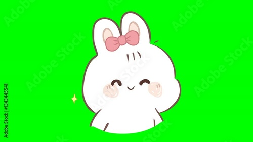 A cute and adorable cartoon Rabbit