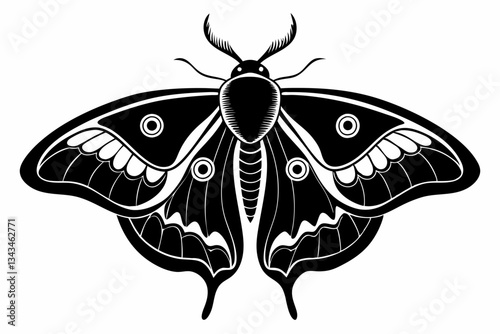 luna moth line art silhouette vector illustration