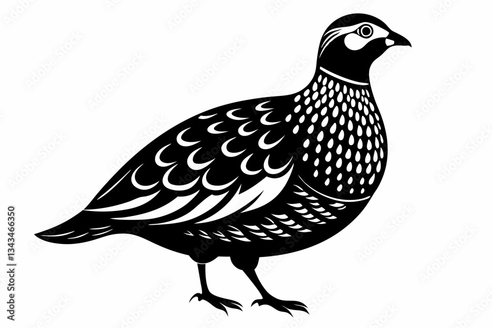 Fototapeta premium northern bobwhite line art silhouette vector illustration