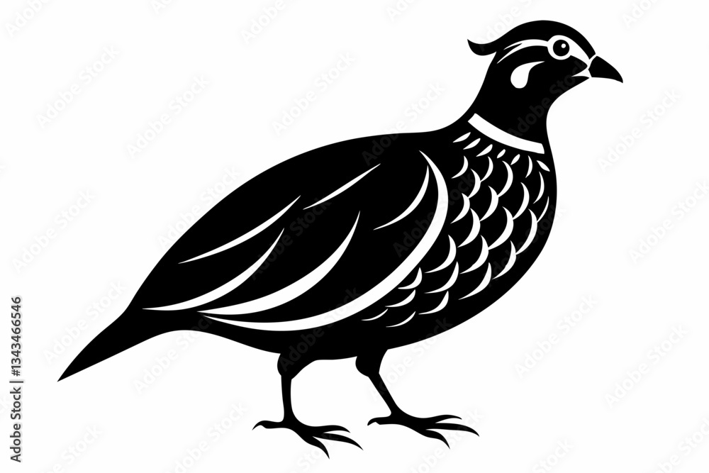 Fototapeta premium northern bobwhite line art silhouette vector illustration