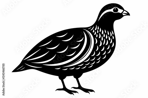 northern bobwhite line art silhouette vector illustration