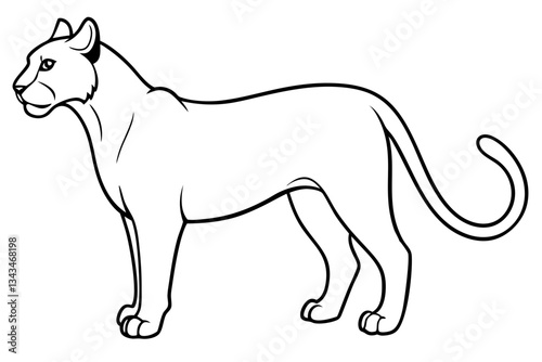 puma line art silhouette vector illustration