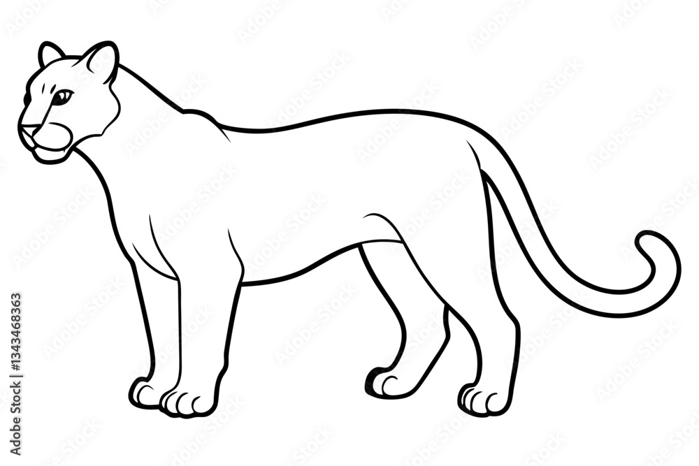 Obraz premium puma line art silhouette vector illustration