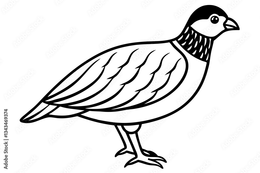 quail line art silhouette vector illustration quail line art silhouette vector illustration