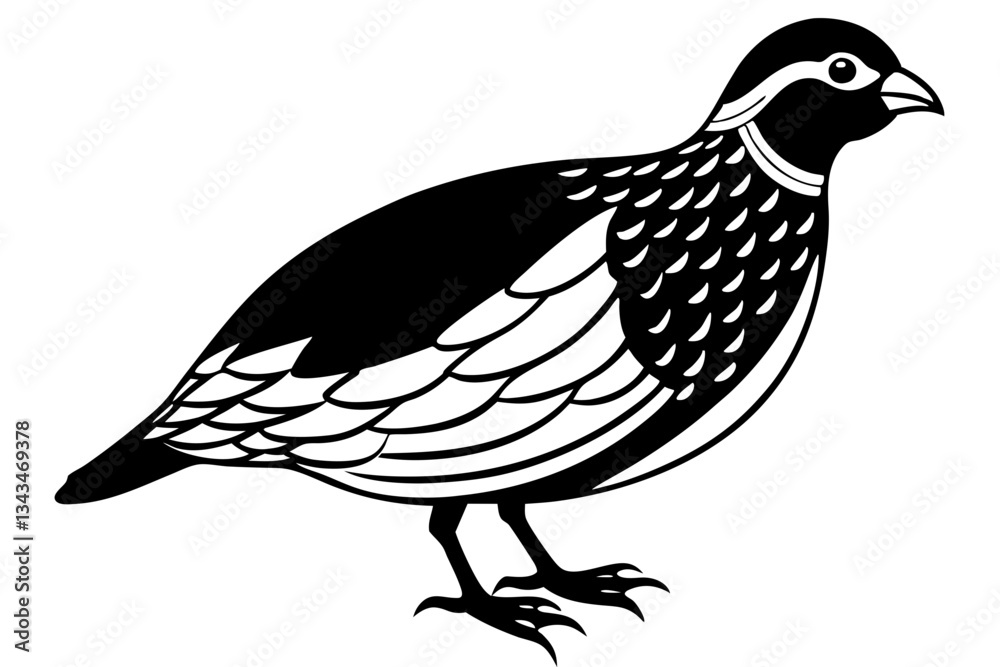 Fototapeta premium quail line art silhouette vector illustration