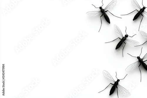 Group of Mosquitoes Overhead Insect Swarm Minimalist White Background Disease Carrier Pest Infestation