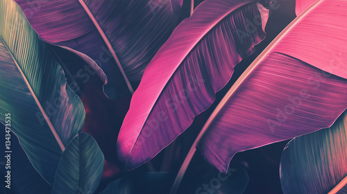 Minimalistic tropical leaves composition with vivid colors