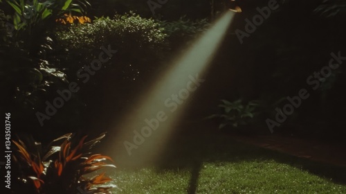 Sunlight Beam Through Lush Garden