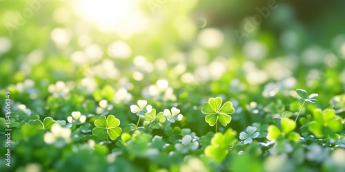 Fantasy Clover Field
