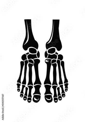 Skeleton Legs icon  Anatomical Bone Structure of Human Lower Bod