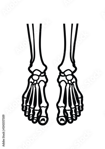 Skeleton Legs icon  Anatomical Bone Structure of Human Lower Bod