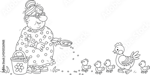 Funny granny feeding with grains from a bucket her hen and brood of merry small chicks walking in a poultry-yard in a summer morning, black and white vector cartoon illustration for a coloring book
