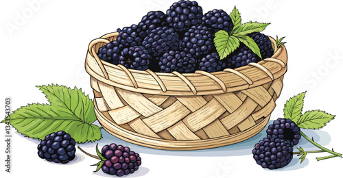 Blackberry in wicker basket in white background vector design, Blackberry Illustration vector design