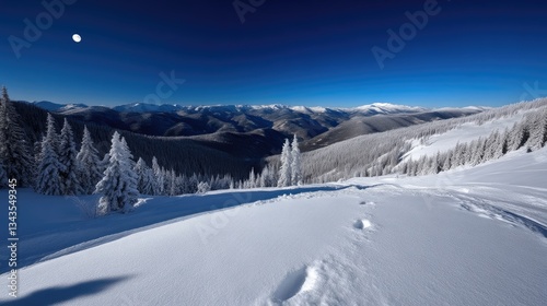 Obraz na płótnie Snowy mountain vista under a clear night sky. Vast, pristine snow-covered peaks and frosty pine trees create a breathtaking winter wonderland scene. Sunlight casts soft shadows across the slopes w salonie