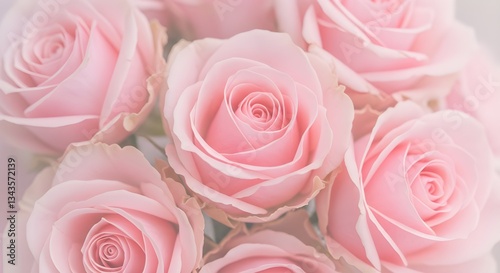 Elegant Pink Roses Bouquet – Romantic Floral Background for Love and Celebration