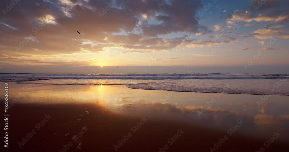 Sunset over ocean beach shore with splashing waves on the sand. Sea sunrise video Sunset over ocean beach shore with splashing waves on the sand. Sea sunrise video