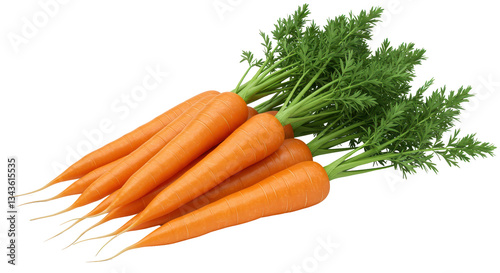 Isolated Bunch of Carrots
