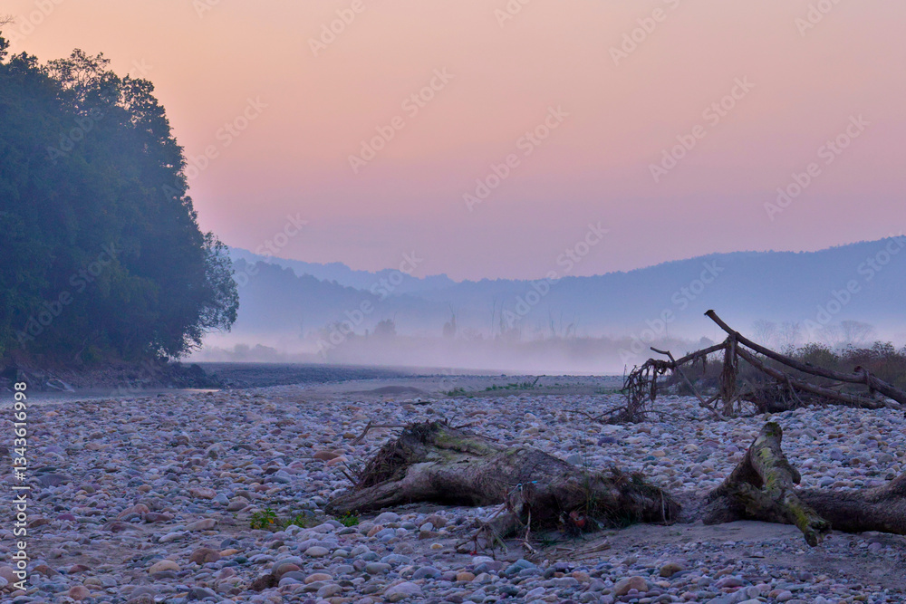 Fototapeta premium A misty dawn scenic at the Jim Corbett National Park, Uttarakhand, India.