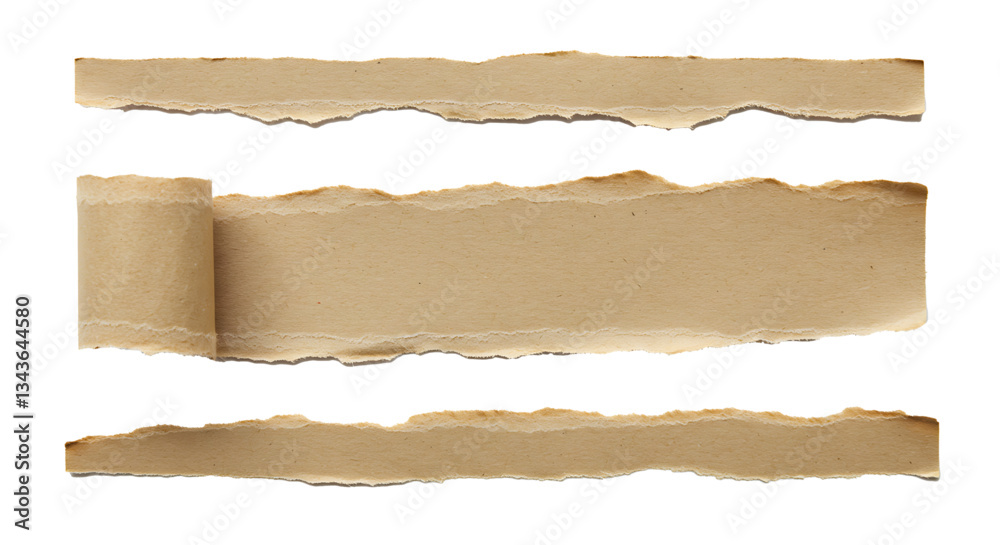 Fototapeta premium Browen torn paper on transparent background