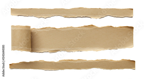 Browen torn paper on transparent background