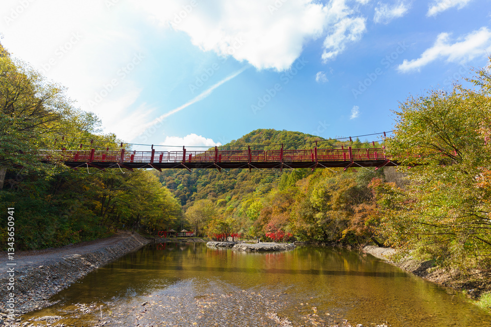 Fototapeta premium Various wooden bridges outdoors in Northeast China in autumn