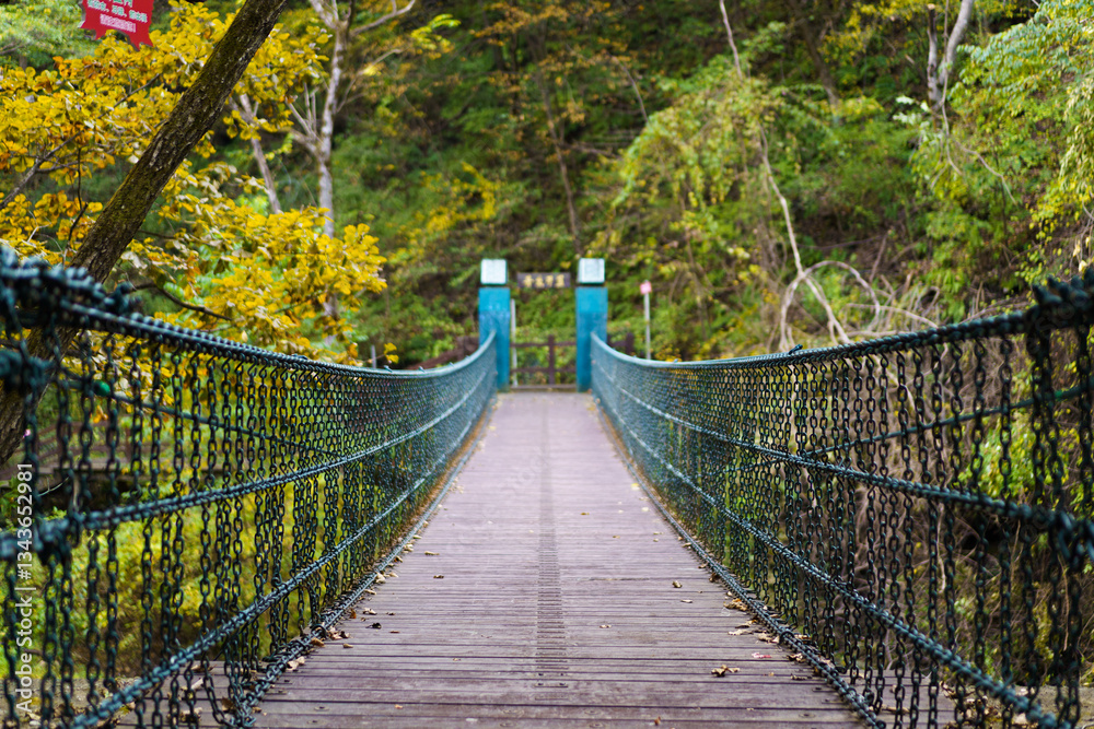 Obraz premium Various wooden bridges outdoors in Northeast China in autumn